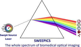 SWEEPICS project logo